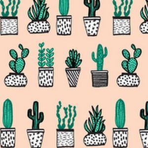 Meet your Posher, Natasha